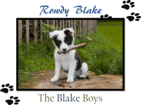 Rowdy Blake Banner
