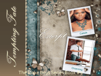 Tempting Fate Excerpt Banner 1