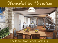 Stranded in Paradise Excerpt II Banner